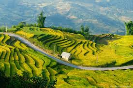 Northwest Vietnam Cycle Tour Lao Cai, Sapa, Lai Chau 4 Days